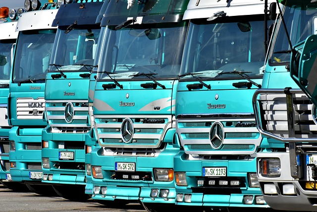Firma Eiffert ist Ihr kompetenter Fachbetrieb für Baumpflege in Hamburg und Schleswig Holstein .Jetzt Beratungstermin buchen